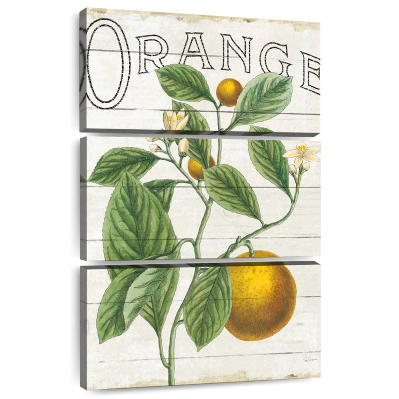Yipline classique Yarlin Citrus III, H 50 po x l 32 po