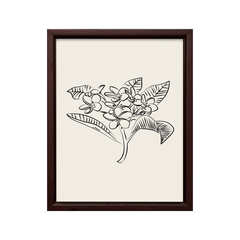Croquis de fleur de plumeria, H 24 po x l 32 po, Canevas, Encadrement brun