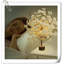 Arbre de fleurs de cerisier blanc éclairé 19 pouces, 49 lumières DEL de table avec minuterie, éclairage à lumières à l'intérieur pour la maison