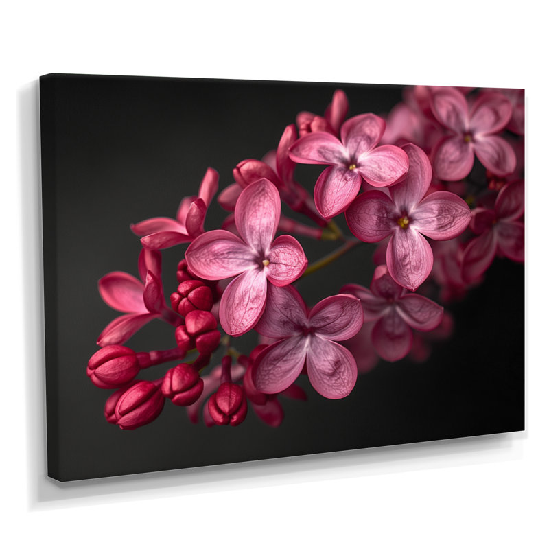 Noir et rose, photo de beauté lilas romantique II - lilas, art mural, Toile tendue, H 34 po x l 44 po
