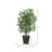 Dejaun 48'' Faux Tree in Manufactured Wood Basket