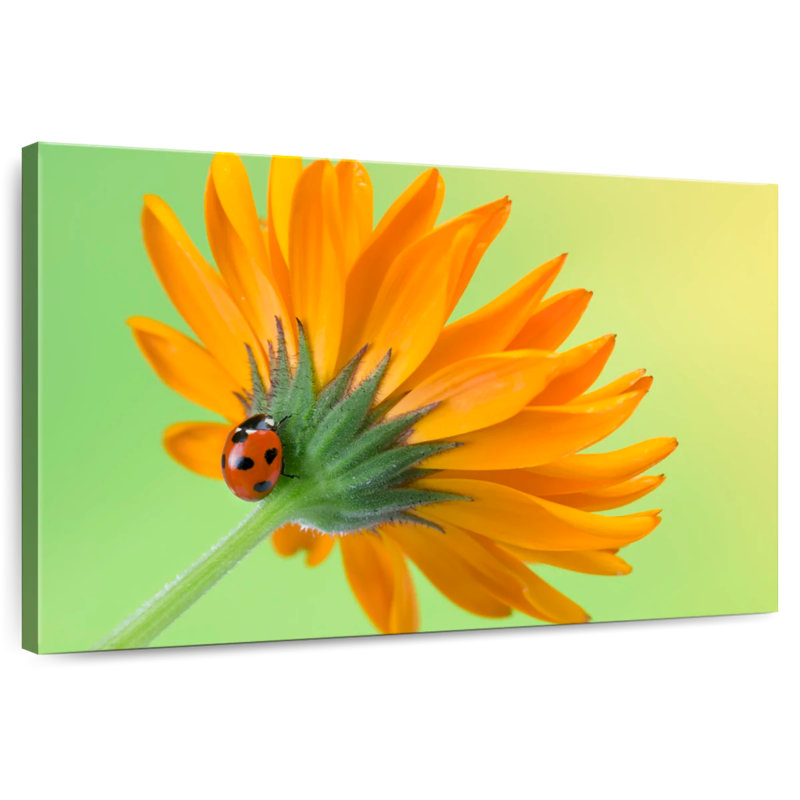 Ladybug Climbing Flower, 16" H x 24" W