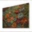 " Colourful Succulents Succulent Tapestry "-1703424546