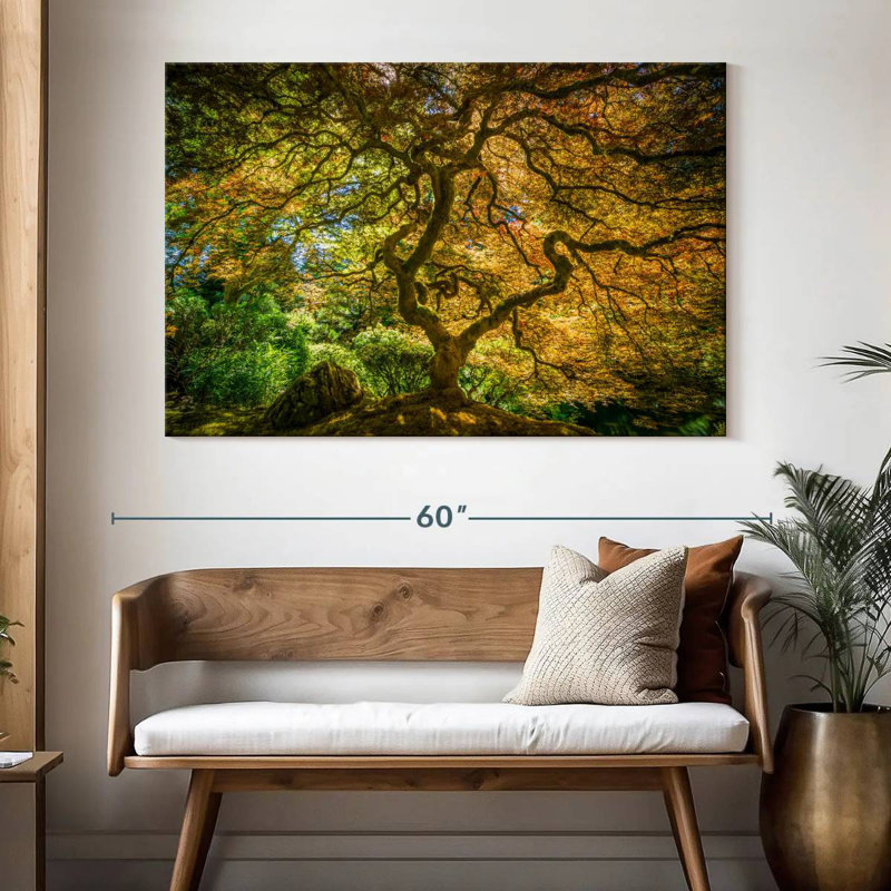 Harnek Ancient Japanese Maple, 34" H x 51" W