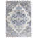 Oriental Indoor Rug