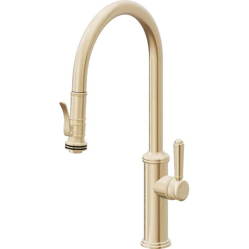 Davoli Pull-Down Kitchen Faucet with Squeeze Sprayer - High Arc Spout, Satin Brass, Modern Lever