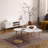  1 Coffee Table-2088884054