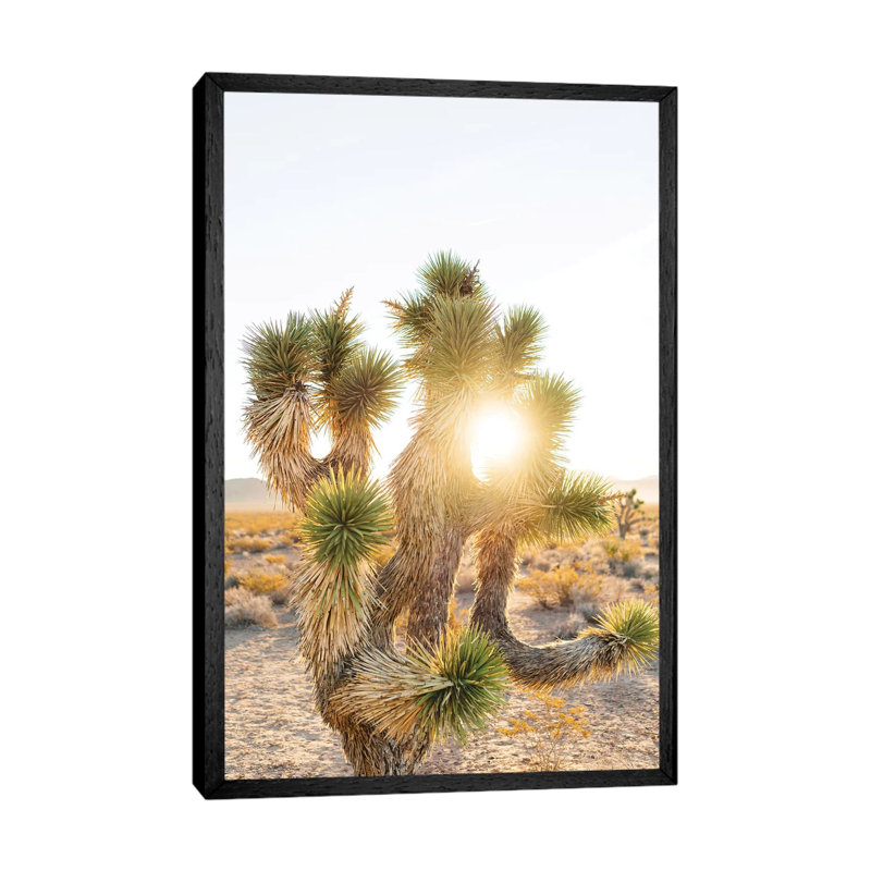 Joshua Tree Sunrise 1 Piece Wall Art on Canvas, 101.6cm H x 66.04cm W x 3.81cm D, Black Framed