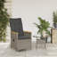  Chaise de jardin inclinable grise-1059932293-1059932294-1059932289