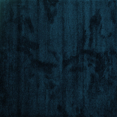 Walshak Performance Indoor Rug
