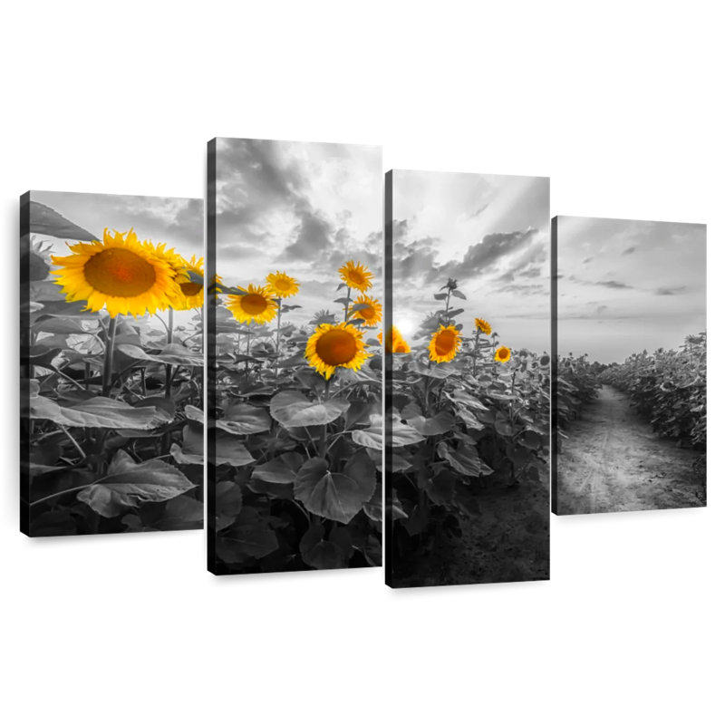 Alvord Path Through The Sunflower Field, 54" H x 84" W