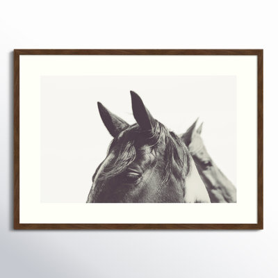 Horse Ears Macro Photo Print