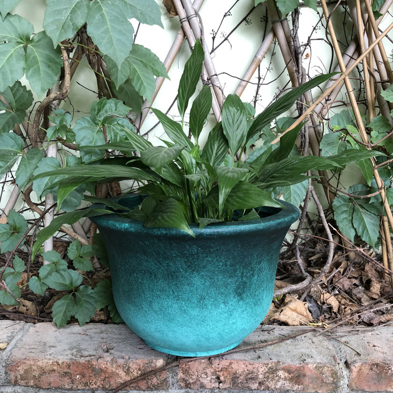 Pot à fleurs à cloche basse Marisol, H 10 po x l 15 po x P 15 po, Vert