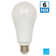 150 Watt Equivalent A21 E26/Medium (Standard) 5000K LED Bulb