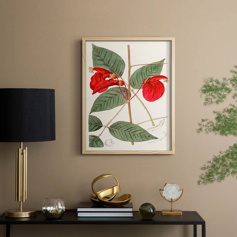 FloraOfTheTropicsII Framed Print - Solid Wood