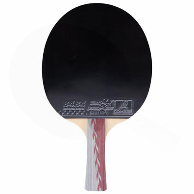 DOUBLE FISH Single Table Tennis Racket