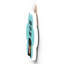 Gruia Wall Decor
