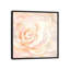 « rosé rose gros plan i », reproduction sur toile-72420371-72420376-34986420