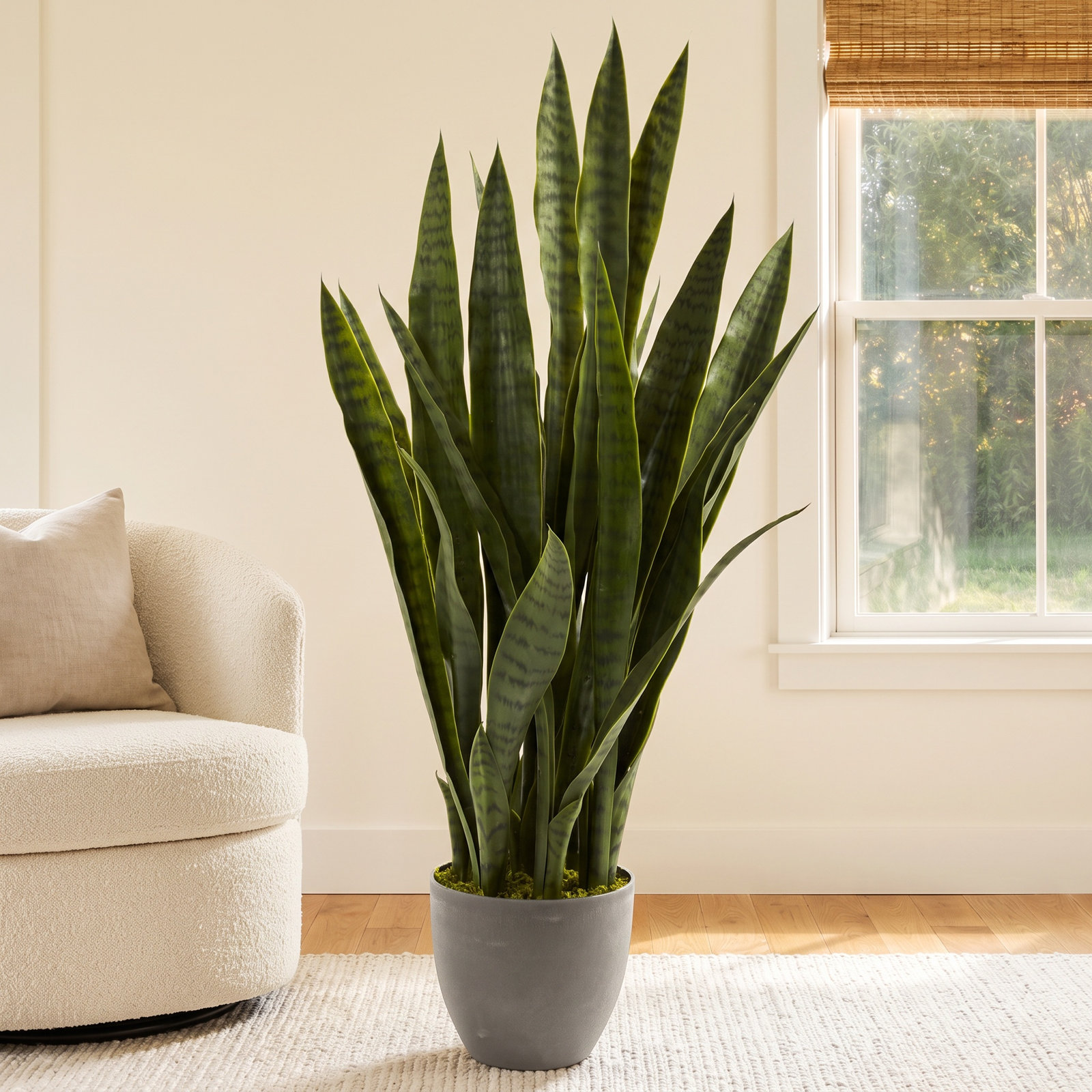 33" Foliage Plant in Planter