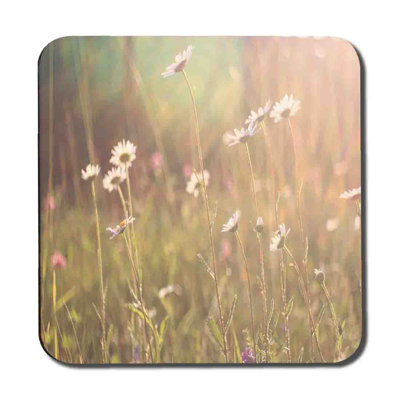 Annajane Square 6 Piece Coaster Set