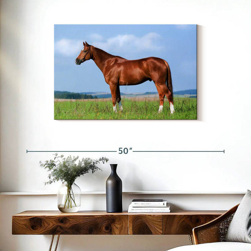 Brampt Still Chestnut Horse, 24" H x 36" W