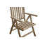 Baek Folding Patio Dining Armchair with Cushion