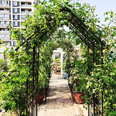 Black Iron Garden Arch, Gate, , Climbing Plants, Galvanized, Powder - Coated, Long Term Use, Stable Load Bearing Frame, Ornamental Arch With Size W58.35*H96.65, Support For Jasmine And Other Flowers,