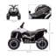 Sahil Zoomie 12V Electric Quad Bike for Kids Ride On Car ATV Toy Ages 3-5-1655749965