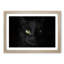 Black Cat with Green Eyes in Abstract - Picture Frame Graphic Art Print-55686374-55686377