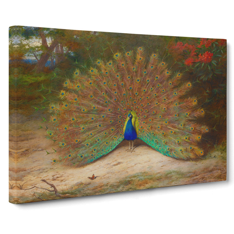 Peacock by Archibald Thorburn - Wrapped Canvas Painting, 40cm H x 60cm W x 3cm D