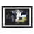 Black Framed selected