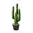 26'' Faux Cactus Plant in Pot