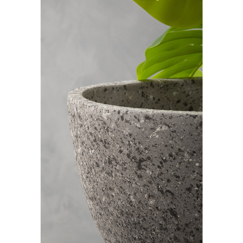 Mondovi Fiberglass Cachepot, 70cm H x 49cm W x 49cm D