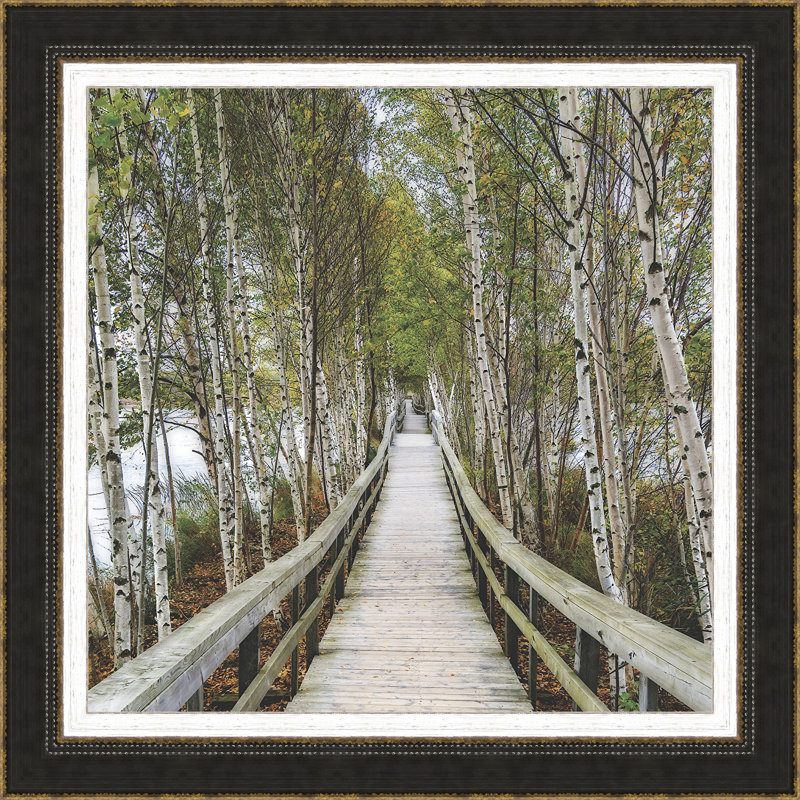 " The Path Home "