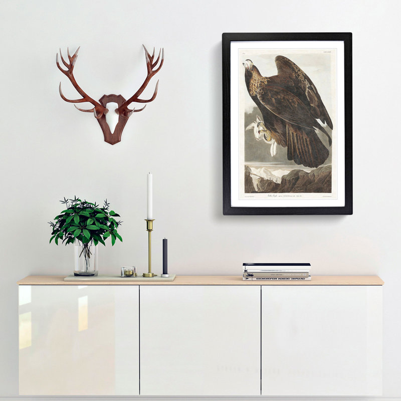 Golden Eagle by John James Audubon - Picture Frame Painting Print, 36cm H x 27cm W x 2cm D, Black Framed