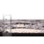 Gosnold Darian Clemson Mori-250180881