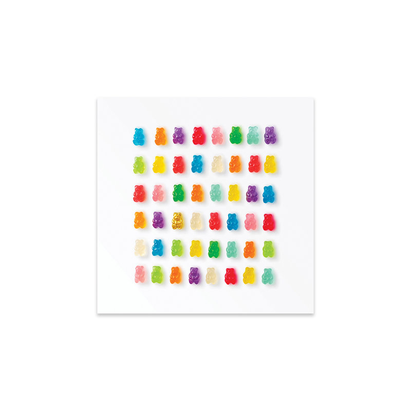 «Rainbow Bears» par Erin Summer - impression non encadrée, H 24 po x l 24 po x P 0,25 po