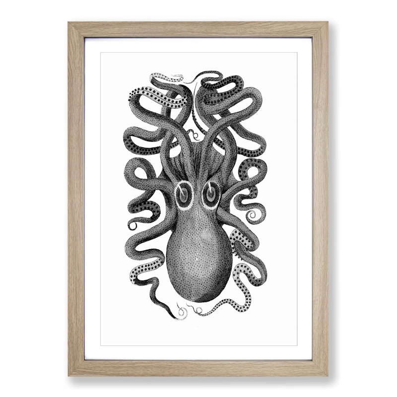 Octopus in Black and White by George Shaw - Picture Frame Drawing Print on MDF, Oak Framed, 36cm H x 27cm W x 2cm D