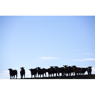 Group of cows 1 Piece Wrapped Canvas Wall Art