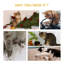 Marshfield 80cm H Cat Tree