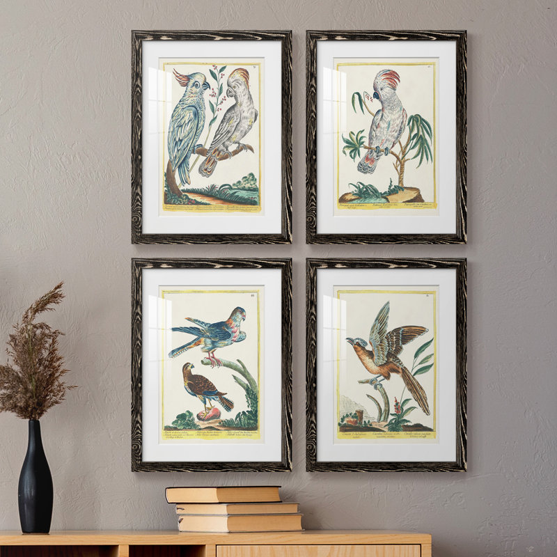 «Pastel Birds I», ensemble de 4 reproductions de cadres photo, Noir, H 20 po x l 68 po x P 1,5 po