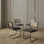 Chaise de salle à manger Cantilever-1019051462