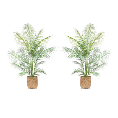 Outdoor UV Rated Kentia Palm Drop-In Trees with Bamboo-Wrapped Cement Pots