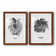 B&W d'intérieur plante I - ensemble de 2 reproductions de dessins-728781680-728781688