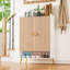 Shoe Storage Cabinet-118810483