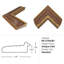 Nature Deconstructed 2 Print by Thom Filicia
