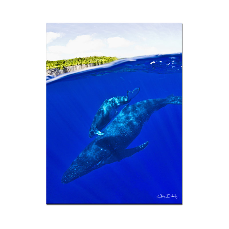 Reproduction d’art sur toile baleines