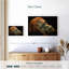 Orang-outan dramatique Brampt-108818642