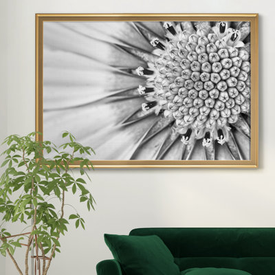 Quiet Burst II - reproduction de cadre photo