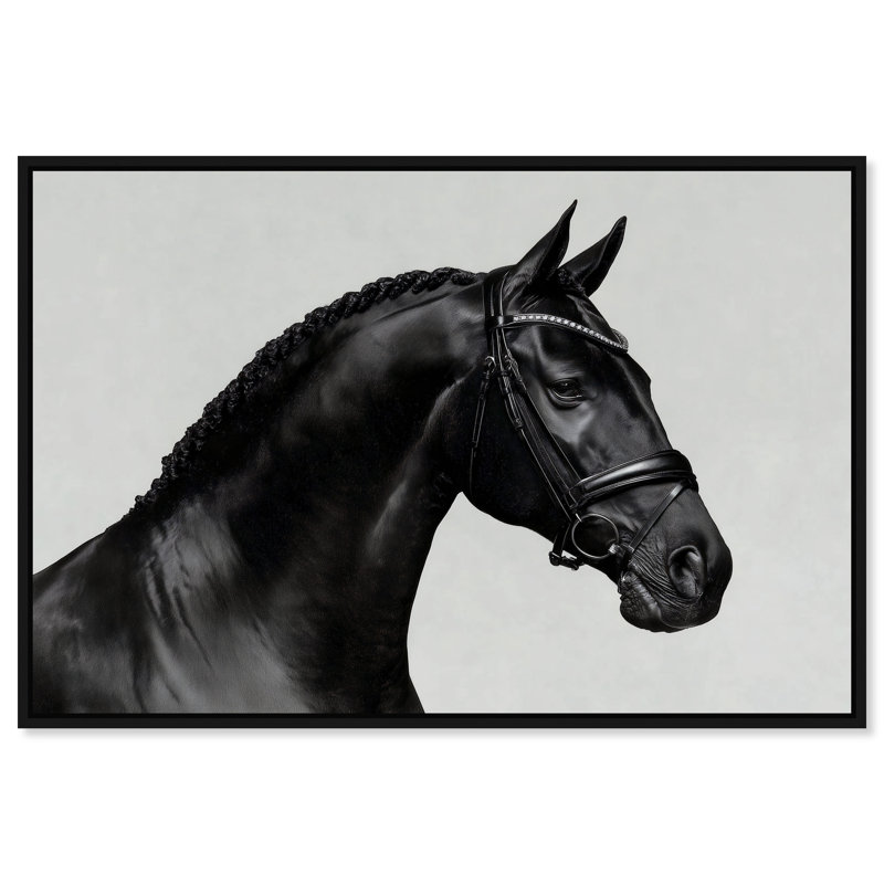 Midnight Majesty I Print by Oliver Gal, 16"H x 11"W, Black Floater Frame